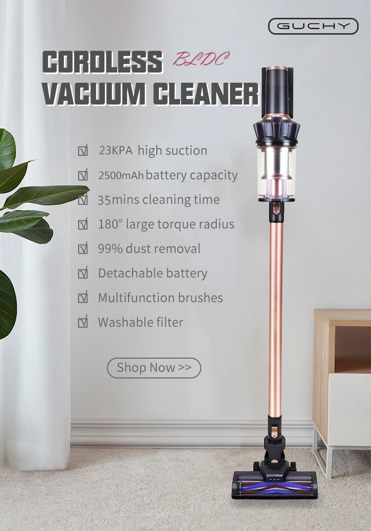 250W 23kpa 2-in-1 Dry Stick Vacuum Cleaner 800ml Dust Cup for Hard Floor Pets Hair Carpet